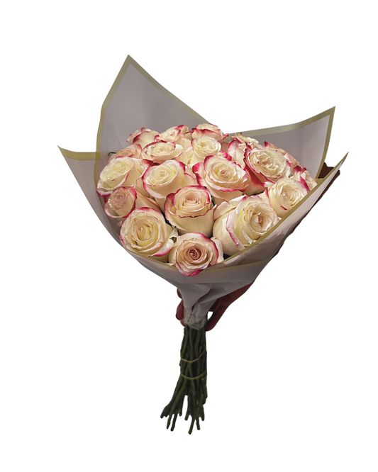 Dozen White Roses with Pink Tips